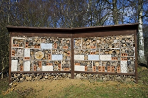 Conserves Prints: Guinness World Record holder for largest bug hotel