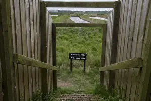 Track Prints: Havergate Island Suffolk. Foot path to hides looking west over Marsh