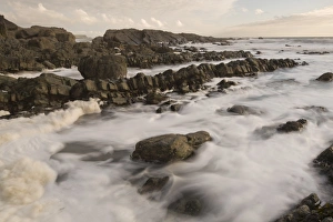 Surf Prints: Heavily folded sandstone and mudstone rocks with surf