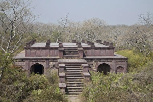 Rajasthan Prints: Historic fortress in forest habitat, Ranthambore N. P. Rajasthan, India