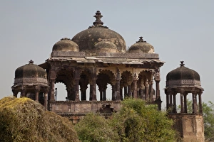 Rajasthan Prints: Historic fortress in forest, Ranthambore N. P. Rajasthan, India