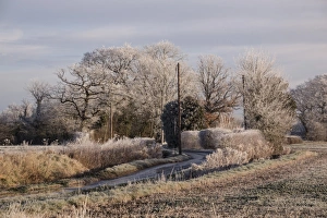 Wintry Prints: Hoar frost covers a Suffolk country lane