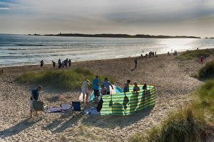 Holidays Prints: Holidaymakers and windbreak on beach, Newborough, Anglesey, Wales, August
