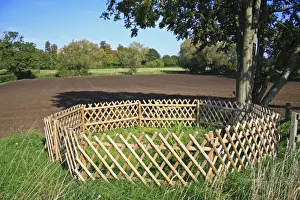 Springs Prints: Holy well or sacred spring rising at edge of cultivated arable field
