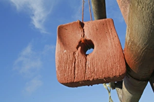 Block Prints: Horse mineral block hanging from fence in paddock, Suffolk, England, October