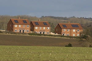 Renewable Prints: Houses with solar water heating panels on roof, Norfolk, England, march