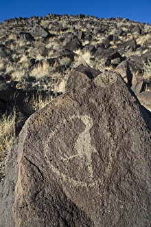 Stones Prints: Hummingbird petroglyph carved on basalt rock