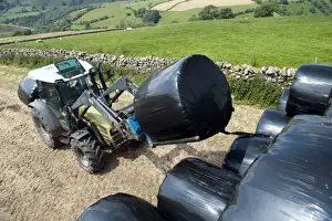 Hurlimann tractor with loader, stacking plastic wrapped round bales of silage, England, july