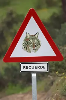 Dehesa Prints: Iberian Lynx (Lynx pardinus) crossing warning sign beside road in dehesa
