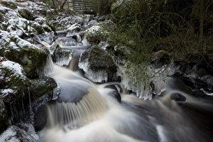 Ice formations and cascades in woodland stream, Wyming Brook, Sheffield, South Yorkshire, England, december
