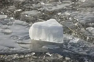 Frozen Prints: Ice formations, caused by frozen river breaking up and refreezing, Sweden