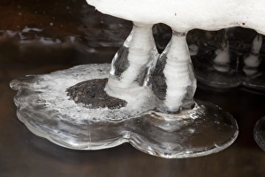 Brooks Prints: Ice formations in stream, Wyming Brook, Sheffield, South Yorkshire, England, december