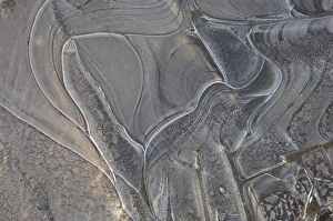 Frozen Prints: Ice, patterns in frozen puddle, Sweden