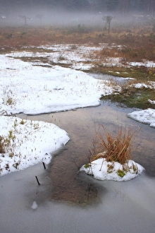Ices Prints: Ice and snow covered heathland pond, Surrey, England, december