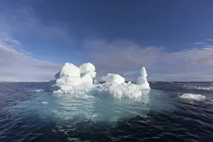 North Polar Prints: Iceberg at sea, Erik Eriksenstretet, Svalbard, August