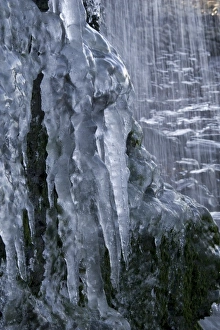 Icicles hanging from frozen cliff waterfall, Kimmeridge, Dorset, England, december