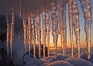 Ices Prints: Icicles at sunset, Finland, november