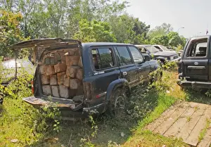 Cars Prints: Illegal logging, impounded cars with illegally cut wood