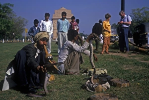 Sub Continent Prints: India - People Snake Charmer, Delhi, India