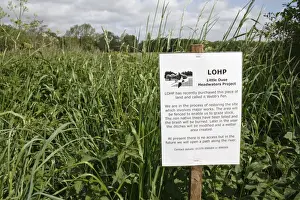 Recently Prints: Information sign at recently purchased land for fen habitat restoration project