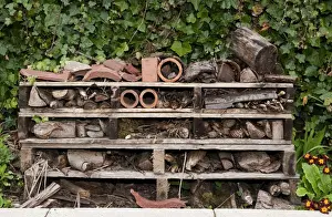 Sheltering Prints: Insect Hotel habitat creation on primary school premises, Cumbria, England, may