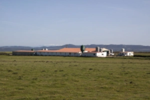Plateau Prints: Intensive pig farming sheds on the Belen Plateau, Extremadura, Spain