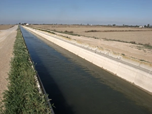 Irrigation Prints: Irrigation canal carrying water to fields, Ebre Delta, Catalonia, Spain, april