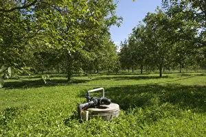 Pipes Prints: Irrigation and fertigation pump for walnut trees in a walnut orchard at Sainte-Foy-la-Grande