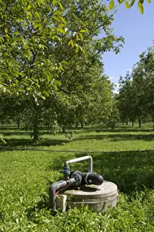 Irrigation and fertigation pump for walnut trees in a walnut orchard at Sainte-Foy-la-Grande, France