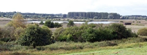 Watching Prints: Island mere hide at RPSB Minsmere, Suffolk