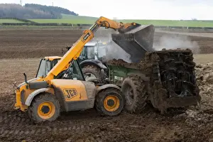 Agriculture Prints: JCB Loadall telehandler loading muck into muck spreader