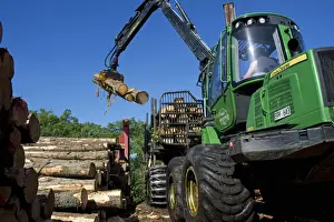 Transports Prints: John Deere 1010E Forwarder loading logs onto timber barge