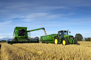 John Deere combine harvester, harvesting Barley (Hordeum vulgare) crop, filling trailer pulled by tractor with grain john deere combine harvester