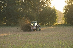 John Deere tractor pulling muck spreader, spreading muck on field in evening sunshine, Sweden