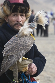 Falconer Prints: Kazakh hunter with hooded Saker Falcon (Falco cherrug)