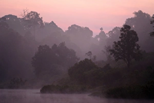 Rain Forests Prints: Lake in monsoon rainforest at dawn, Khao Yai N. P. Thailand, march