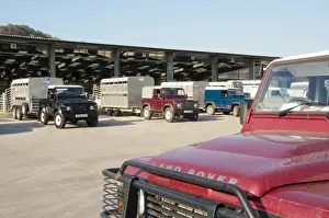 Cars Prints: Land Rover 4x4 vehicles and livestock trailers at livestock market