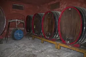 Wines Prints: Large oval shaped oak wine casks used for maturing Guasti Clemente wines. Nizza Italy