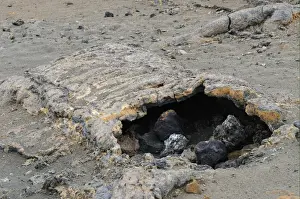 Tubes Prints: Lava tube, formed when exterior layer of lava flow cools and solidifies, Galapagos Islands