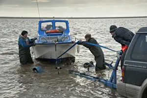 Caught Prints: Licensed cockle pickers landing boat and unloading after picking from cockle beds