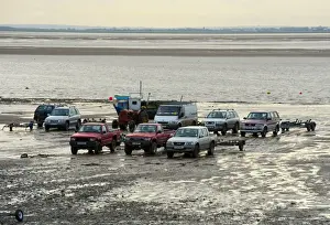 Cars Prints: Licensed cockle pickers vehicles on shore during picking from cockle beds