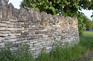 Dry Stone Prints: Limestone drystone wall in parkland