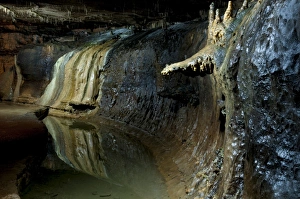 Cave Prints: Limestone rock formation known as The Dragon in cave