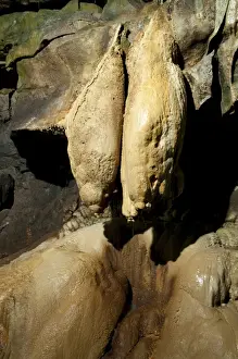 Cave Prints: Limestone rock formation known as Queen Victorias Bloomers in cave