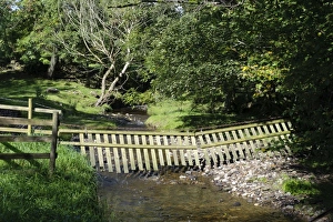 Fenced Prints: Livestock fence suspended over river, Whitewell, Lancashire, England, october