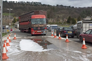 : Livestock lorry about to go through disinfectant bath on leaving market