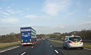 Transports Prints: Livestock lorry driving on motorway, M6 Motorway, Lancaster, Lancashire, England, march