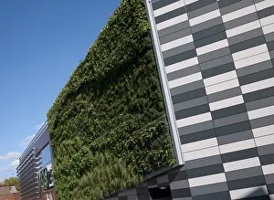 Grow Prints: Living Wall System (Green Wall) growing on wall of M&S store in city