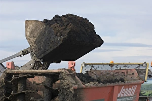 Muck Prints: Loader bucket with muck, loading muck spreader, Sweden, autumn