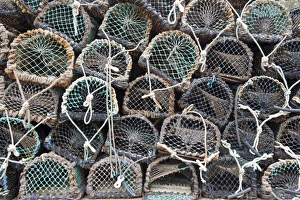 Port Prints: Lobster pots on quayside of harbour, Burnmouth, Scottish Borders, Scotland, july